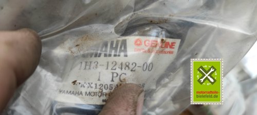 IMG_20230828_111656